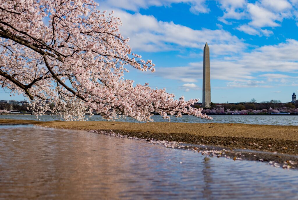 Washington DC vue sur les monuments