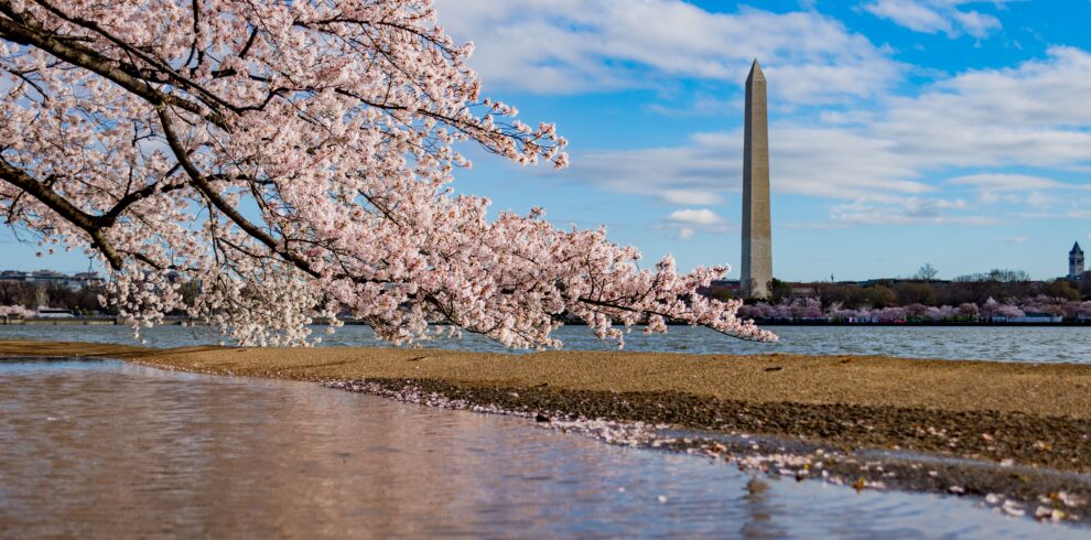 Washington DC vue sur les monuments