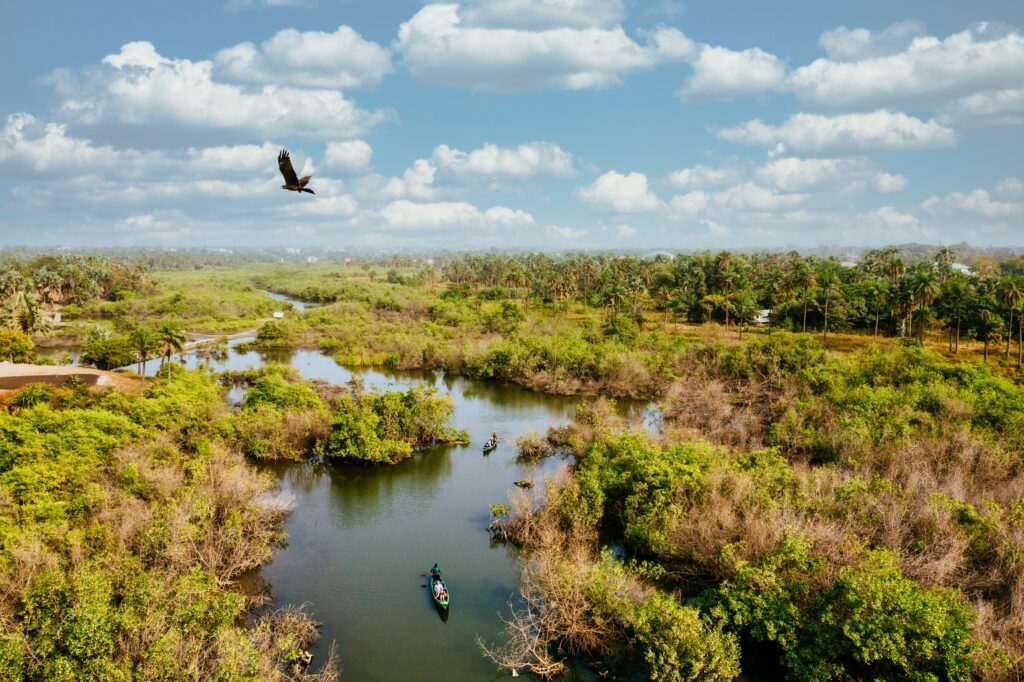 Everglades vue de haut