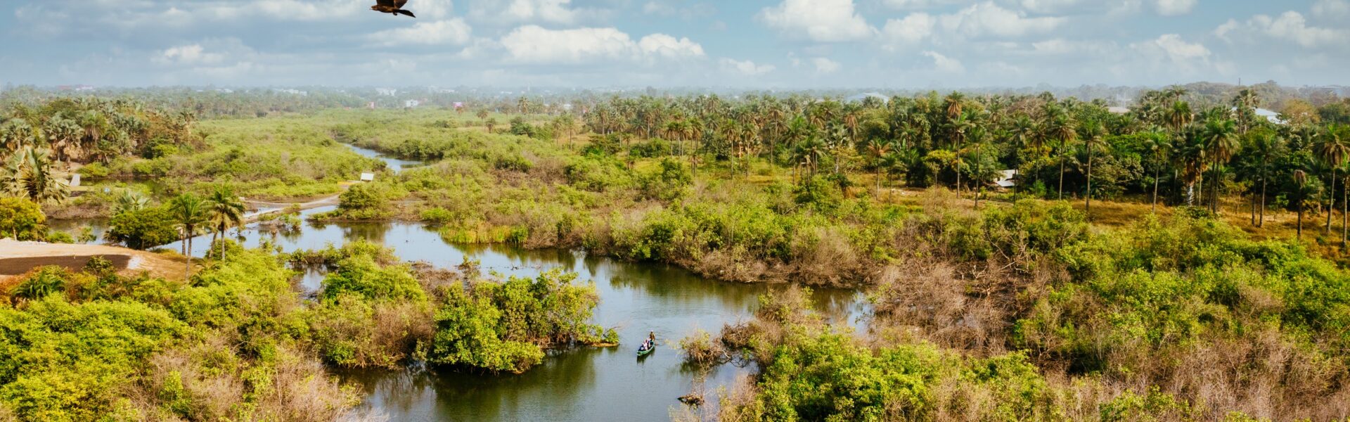 Everglades vue de haut