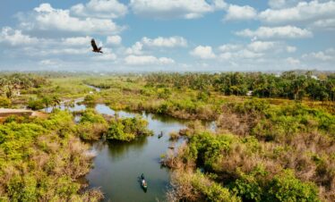 Everglades vue de haut