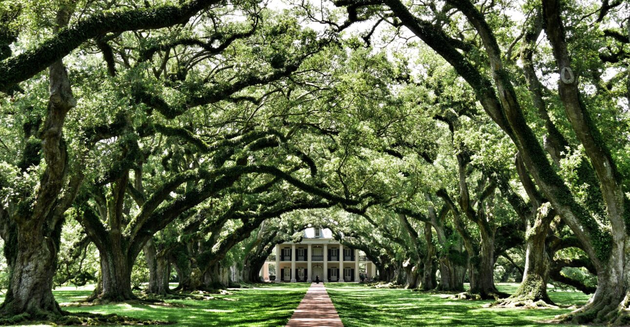 Voyage en Louisiane : culture cajun et musique jazz