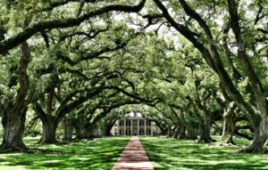 Louisiane Oak Alley Plantation