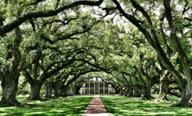 Louisiane Oak Alley Plantation