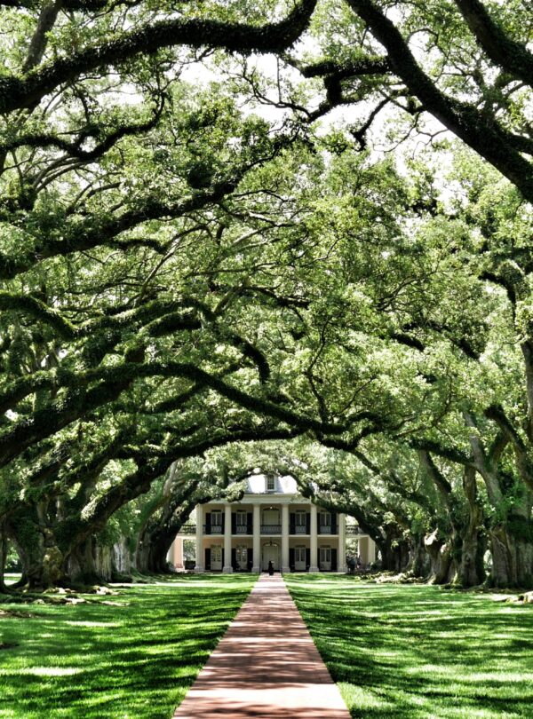 Louisiane Oak Alley Plantation