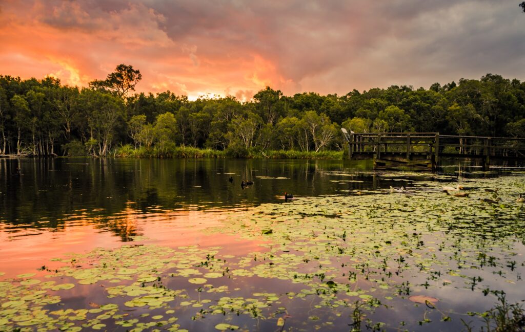 Floride Everglades coucher de soleil