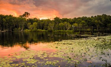 Floride Everglades coucher de soleil