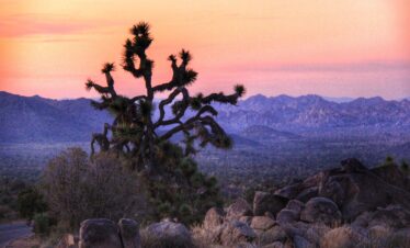 L'appel du voyage | le regard vers l’ouest : road trip mythique dans l’ouest américain