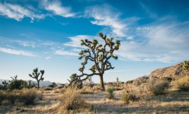 L'appel du voyage | le regard vers l’ouest : road trip mythique dans l’ouest américain 