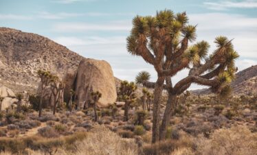 L'appel du voyage | le regard vers l’ouest : road trip mythique dans l’ouest américain