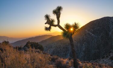 L'appel du voyage | le regard vers l’ouest : road trip mythique dans l’ouest américain