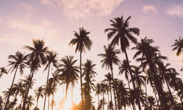 L'appel du voyage | le regard vers l’ouest : road trip mythique dans l’ouest américain