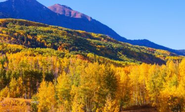 L'appel du voyage | voyage de phoenix à denver : histoire et paysages époustouflants