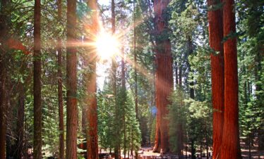 L'appel du voyage | only california : la californie comme vous ne l’avez jamais vu