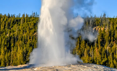 L'appel du voyage | roadtrip dans les rocheuses : yellowstone, grand teton et bisons