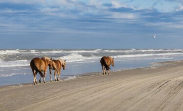 L'appel du voyage | roadtrip dans les carolines : montagnes, plages et charme