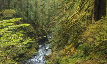 L'appel du voyage | roadtrip sur la côte ouest : gold coast, seattle et parcs nationaux