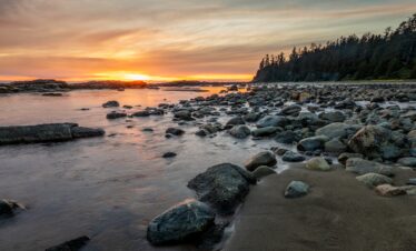L'appel du voyage | roadtrip sur la côte ouest : gold coast, seattle et parcs nationaux