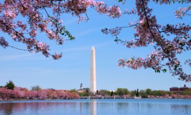 L'appel du voyage | le nord est des usa en train : de boston à washington