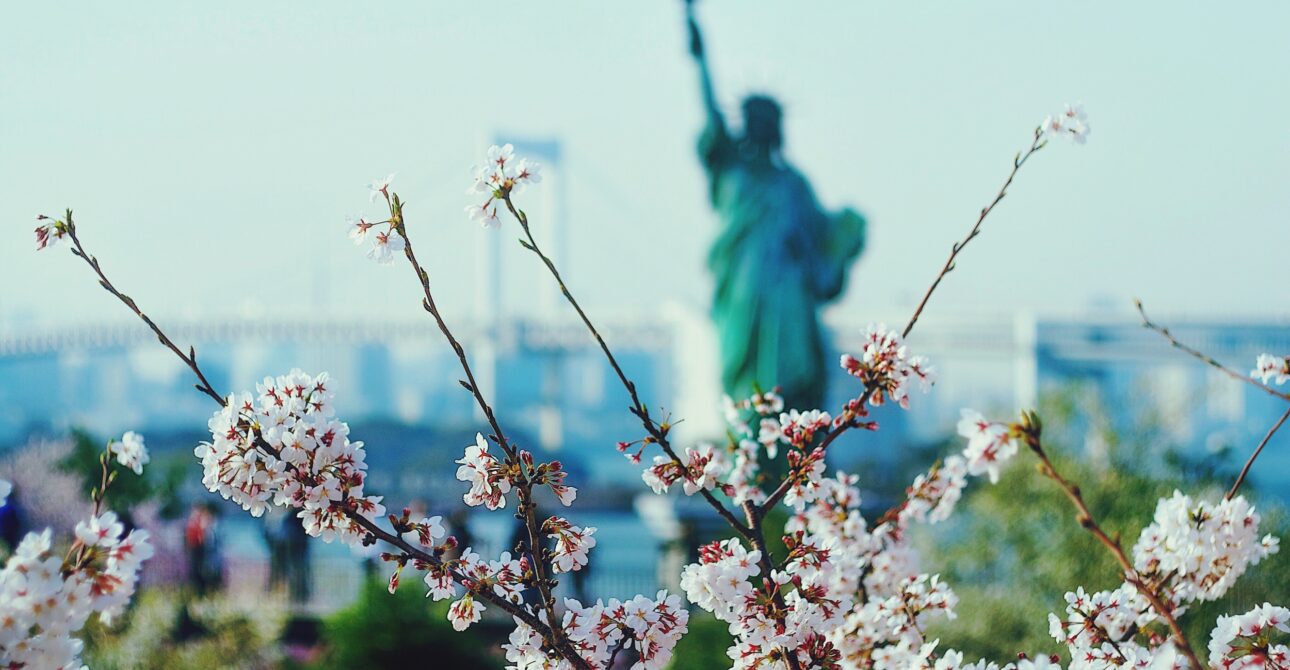 Nos 5 voyages coups de cœur pour un séjour au printemps aux USA