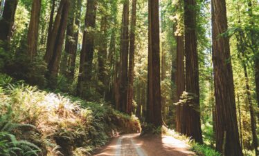 L'appel du voyage | roadtrip en camping en californie du nord