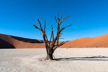 Namibie deadvlei dune
