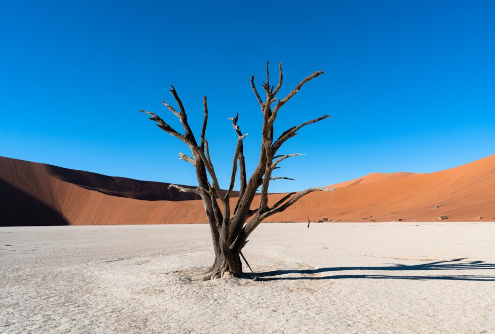 Namibie deadvlei dune