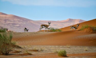 Namibie Sossusvlei