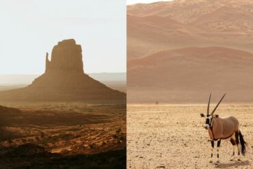 Roadtrip Namibie