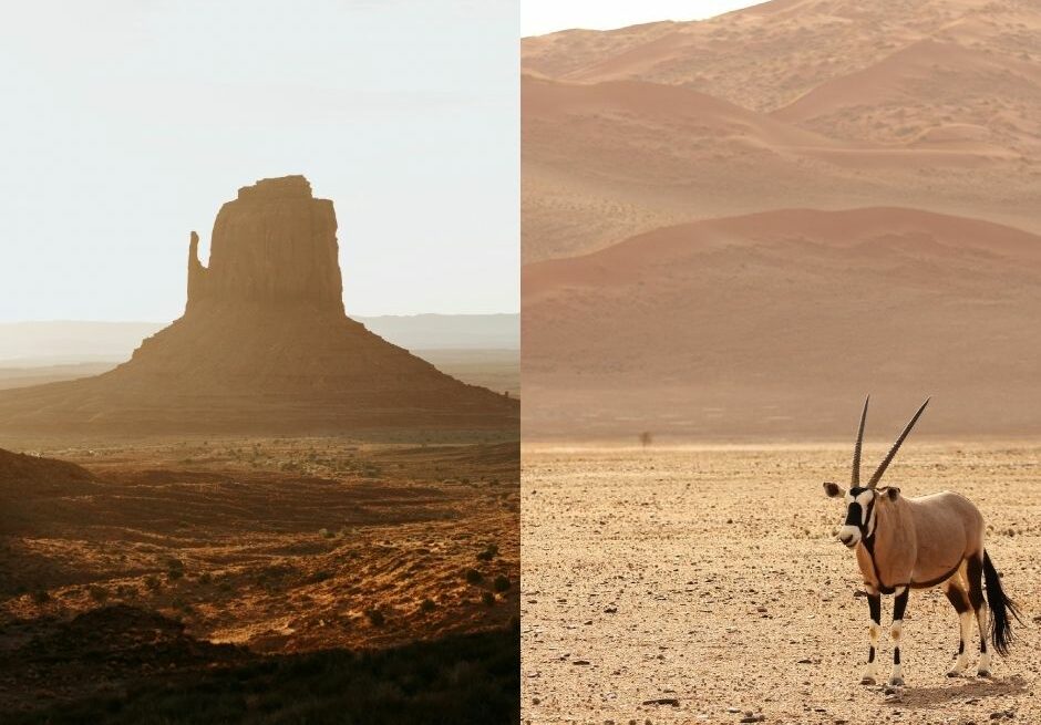 Roadtrip Namibie