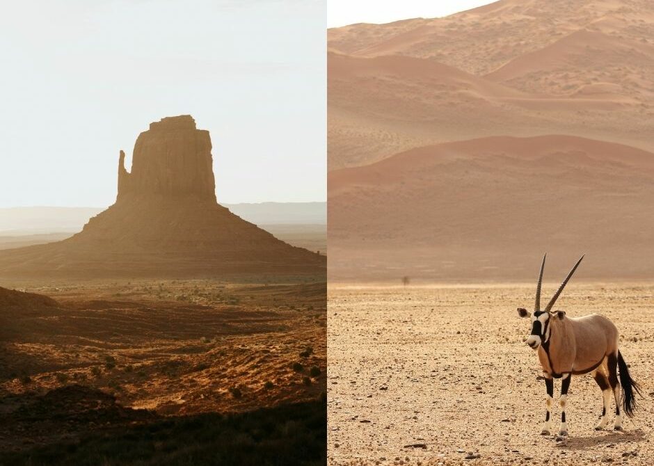 Des Rocheuses au Désert du Namib : il n’y a qu’un pas