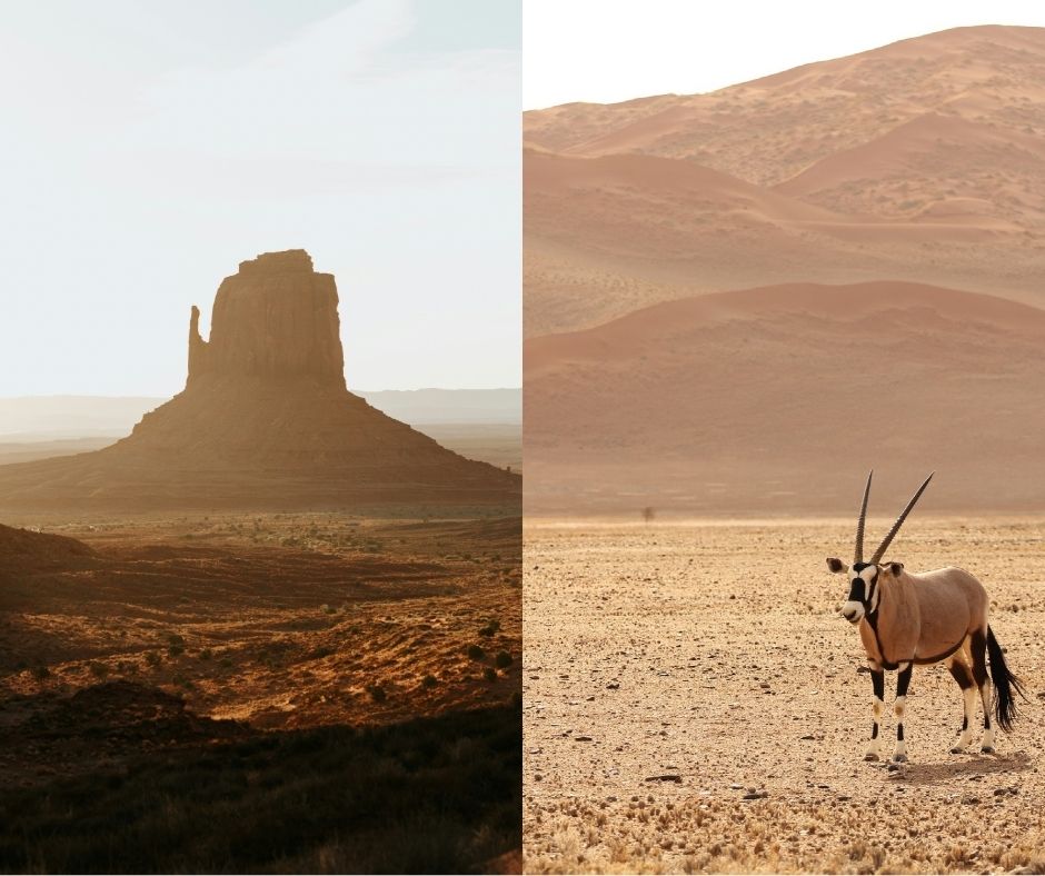 Roadtrip Namibie