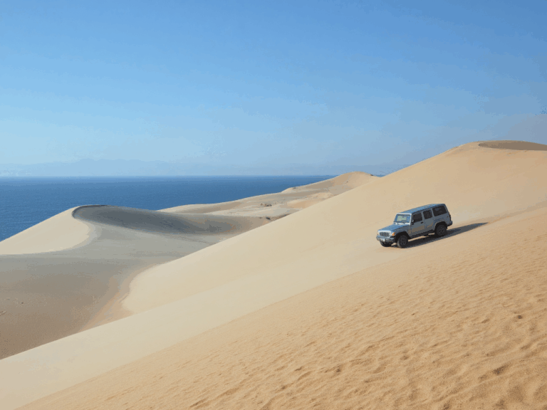 freepik__marine-dunes-in-namibie-4×4-driving-down-the-dune__35821