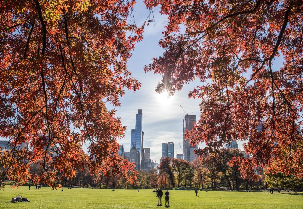Vue sur NYC - Central Park en automne
