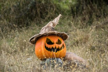 fêter halloween aux usa