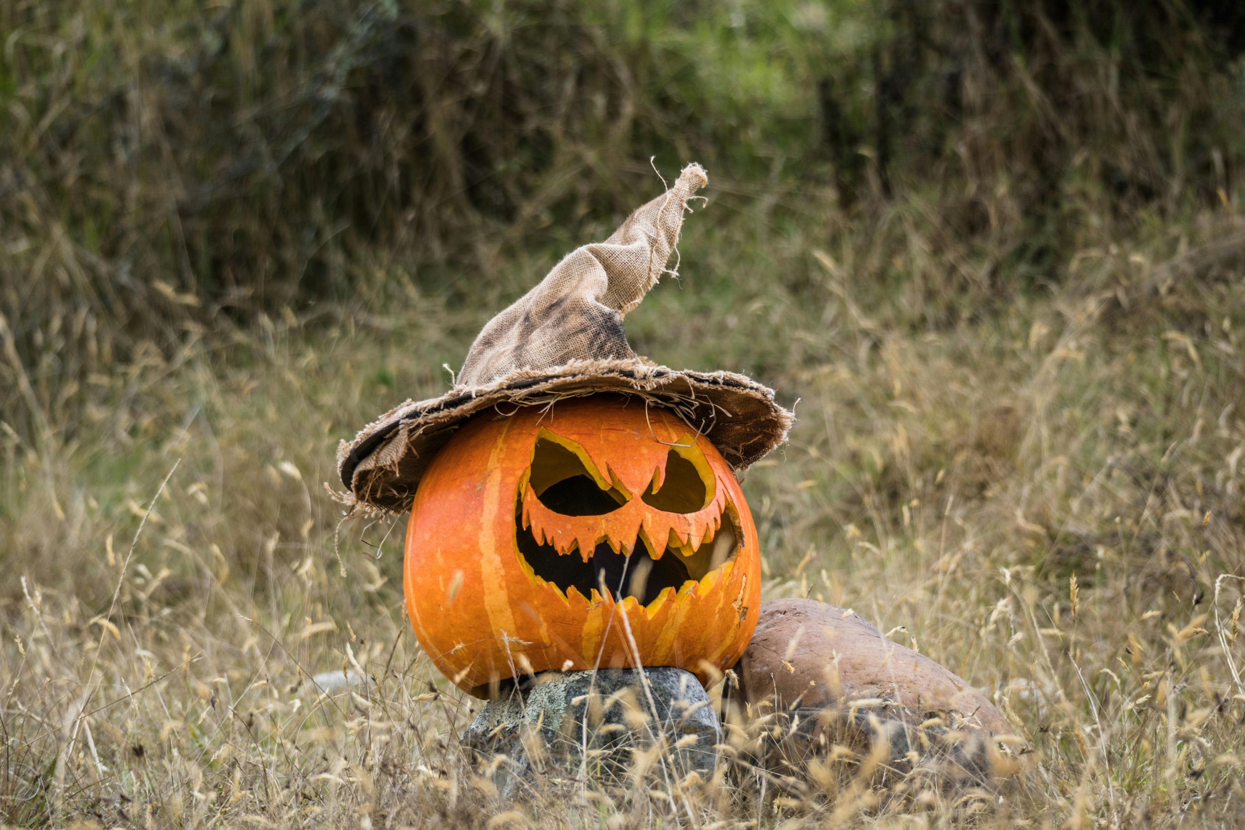fêter halloween aux usa